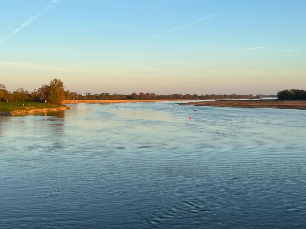 Gite Loirizon Vue Loire 4 Personnes Ingrandes  Exterior foto
