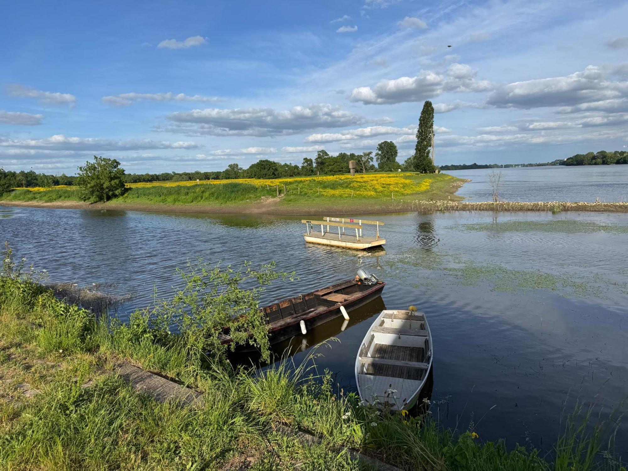 Gite Loirizon Vue Loire 4 Personnes Ingrandes  Exterior foto